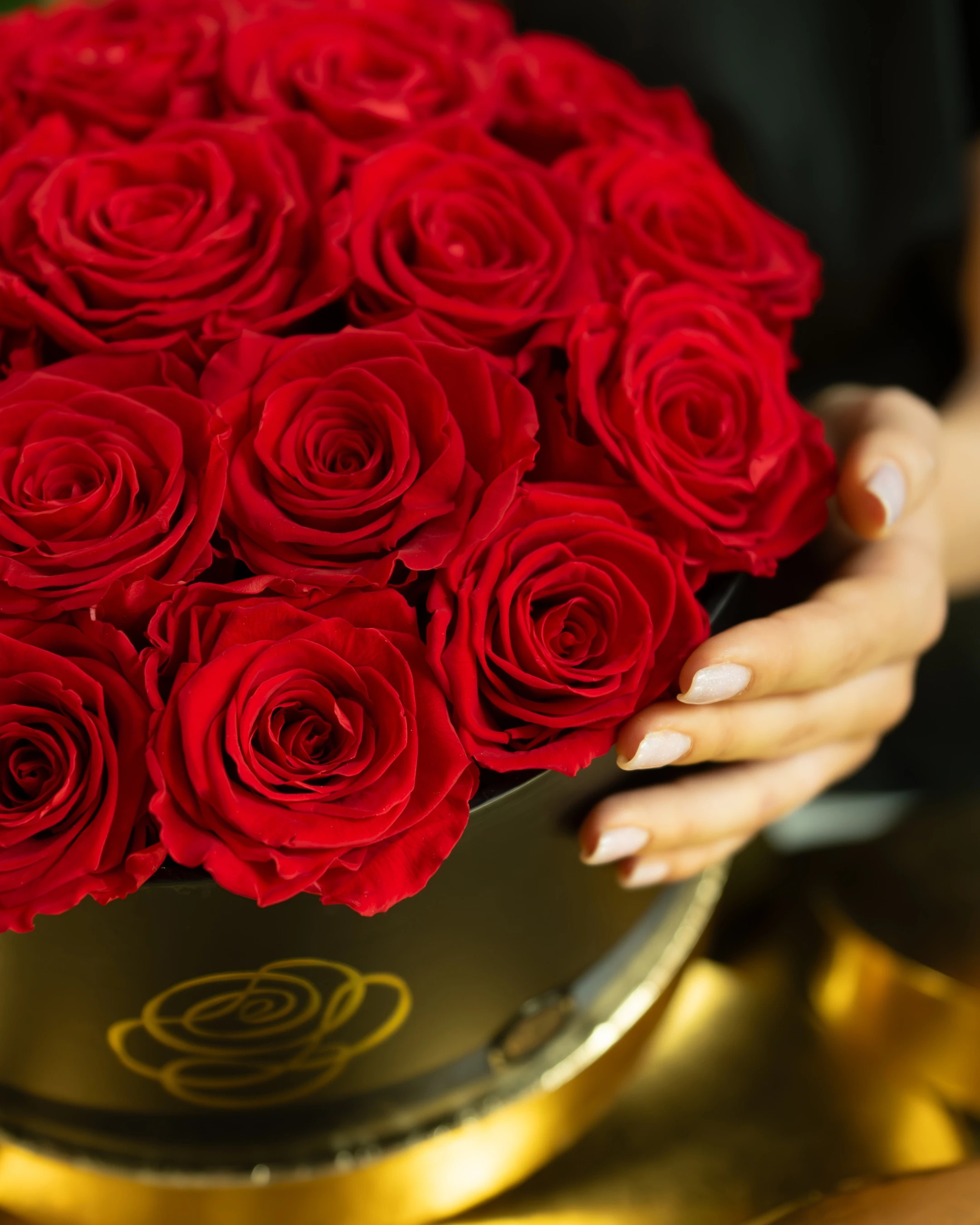 Sensational Roses