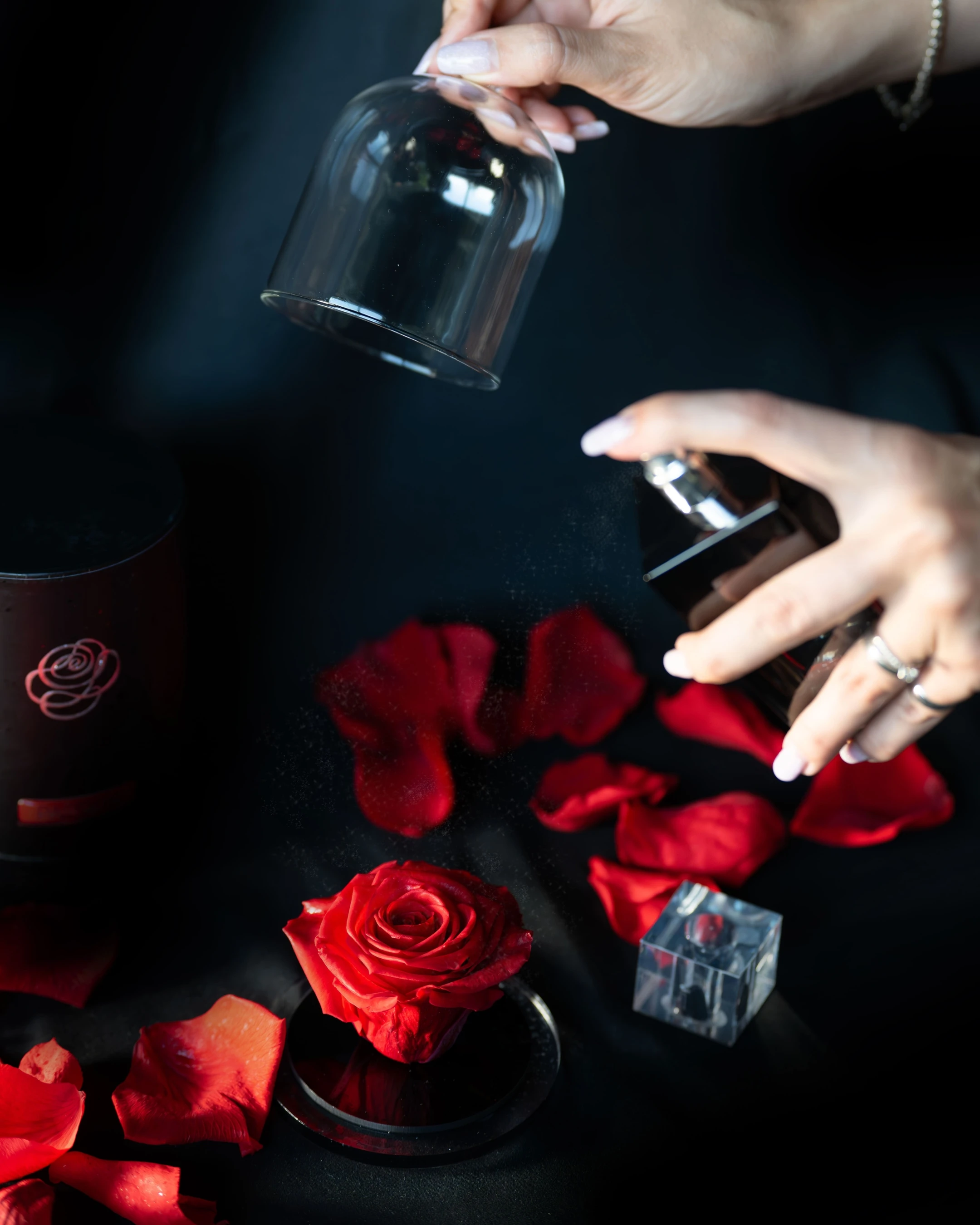 Sensational Roses